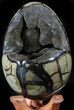 Septarian Dragon Egg Geode - Black Crystals #55708-1